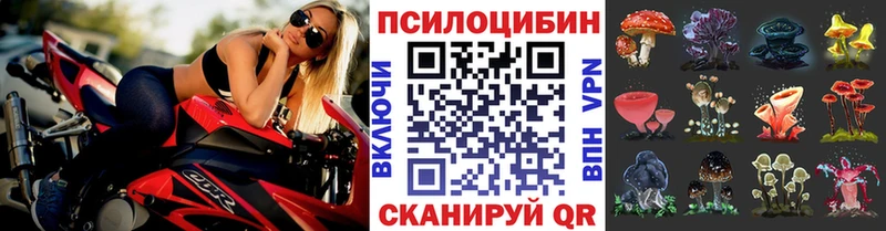 Галлюциногенные грибы Magic Shrooms Купить Тольятти