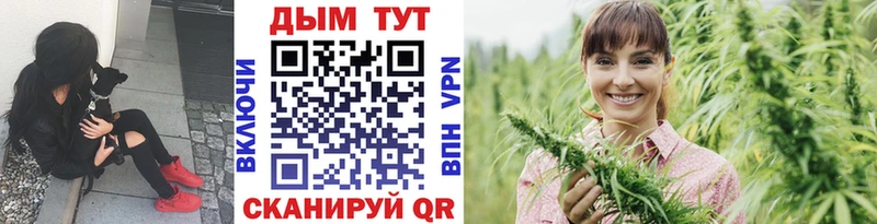 МАРИХУАНА сатива  Купить закладки  Тольятти 